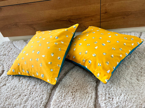 Set of 2: Explorer Cushion Covers