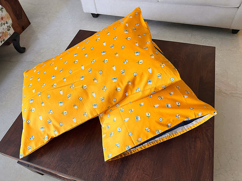 Explorer Pillow Covers