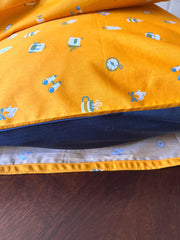 Explorer Pillow Covers