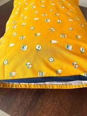 Explorer Pillow Covers